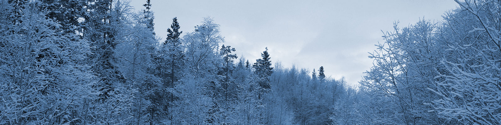 Colorado Sleigh Rides | Two Below Zero, Breckenridge & Frisco, CO