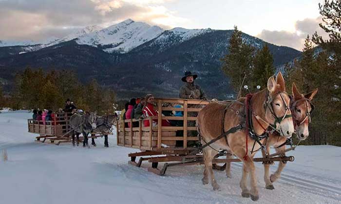 winter sleigh ride
